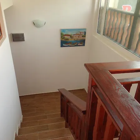 Rosa Guest house *